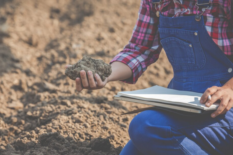 Estudios de suelos y mecánica de suelos